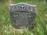 image of grave number 30007
